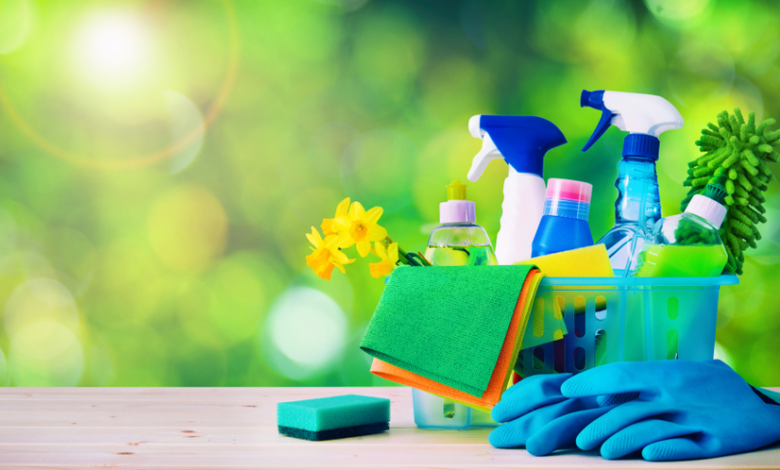 DIY Cleaning Solutions: Save Money and the Environment