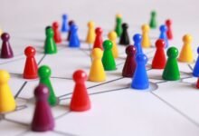 network strategy and development
